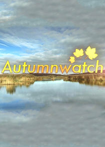Autumnwatch Ne Zaman?'