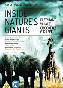 Inside Nature's Giants Ne Zaman?'