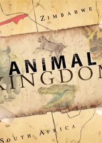 Animal Kingdom Ne Zaman?'