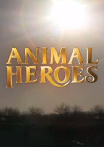Animal Heroes Ne Zaman?'