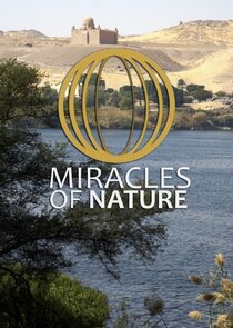Miracles of Nature Ne Zaman?'