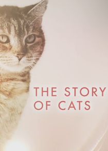 The Story of Cats Ne Zaman?'