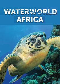 Waterworld Africa Ne Zaman?'