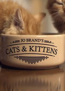 Jo Brand's Cats and Kittens Ne Zaman?'