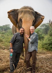Paul O'Grady: For the Love of Animals - India Ne Zaman?'