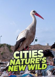 Cities: Nature's New Wild Ne Zaman?'