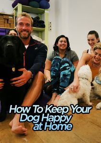 How to Keep Your Dog Happy at Home Ne Zaman?'