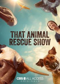 That Animal Rescue Show Ne Zaman?'