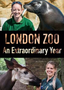 London Zoo: An Extraordinary Year Ne Zaman?'