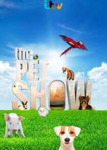 The Pet Show Ne Zaman?'
