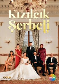 Kızılcık Şerbeti 2.Sezon 30.Bölüm Ne Zaman?