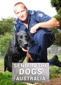 Send in the Dogs Australia Ne Zaman?'