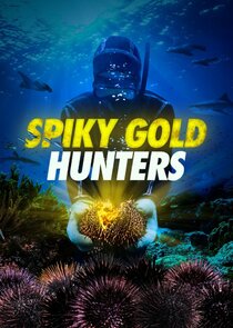 Spiky Gold Hunters Ne Zaman?'