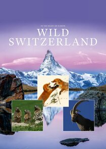 Wild Switzerland Ne Zaman?'
