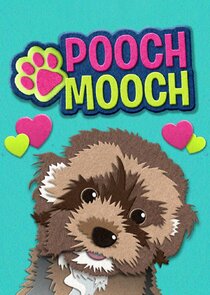 Pooch Mooch Ne Zaman?'