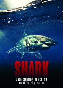 Shark Ne Zaman?'