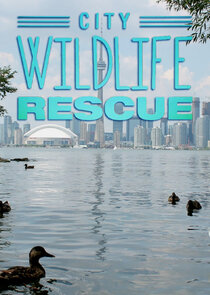 City Wildlife Rescue Ne Zaman?'