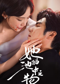 Ta De Chi Zhong Zhi Wu Ne Zaman?'