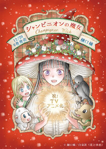 Champignon no Majo Ne Zaman?'