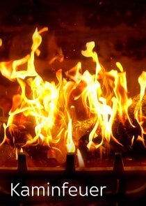 Log Fires Ne Zaman?'