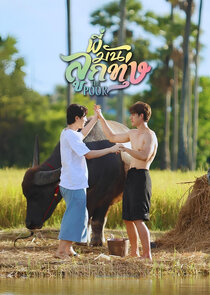 Love Harvest Ne Zaman?'