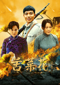 Ku Cai Hua Ne Zaman?'