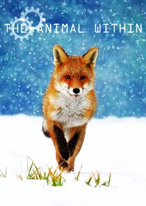 The Animal Within Ne Zaman?'