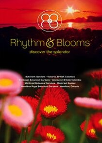 Rhythm and Blooms Ne Zaman?'