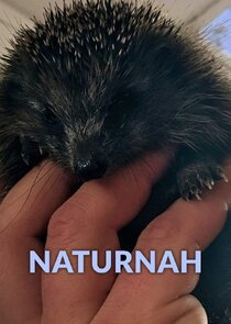 NaturNah Ne Zaman?'