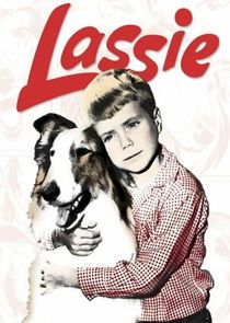 Lassie Ne Zaman?'