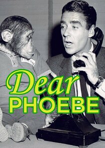 Dear Phoebe Ne Zaman?'