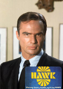 Hawk Ne Zaman?'