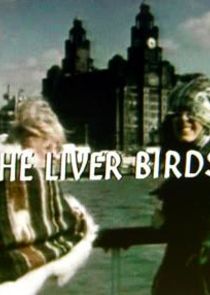 The Liver Birds Ne Zaman?'