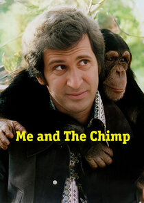 Me and the Chimp Ne Zaman?'
