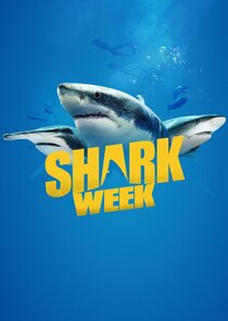 Shark Week Ne Zaman?'