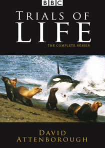 The Trials of Life: A Natural History of Behaviour Ne Zaman?'