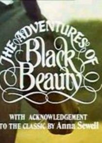 The New Adventures of Black Beauty Ne Zaman?'