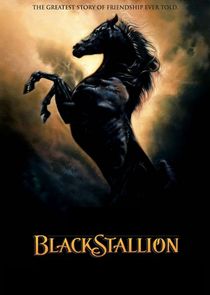 The Adventures of the Black Stallion Ne Zaman?'