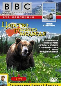 Realms of the Russian Bear Ne Zaman?'