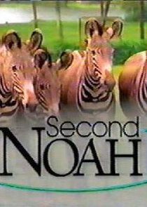 Second Noah Ne Zaman?'