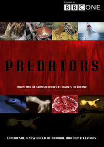 Predators Ne Zaman?'