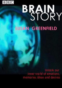 Brain Story Ne Zaman?'