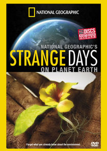 Strange Days on Planet Earth Ne Zaman?'