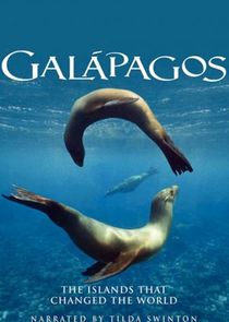Galapagos Ne Zaman?'