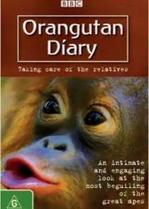 Orangutan Diary Ne Zaman?'