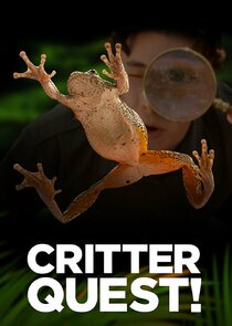 Critter Quest! Ne Zaman?'