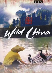 Wild China Ne Zaman?'