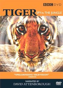 Tiger - Spy in the Jungle Ne Zaman?'