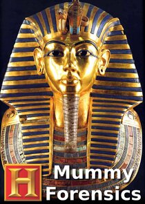 Mummy Forensics Ne Zaman?'