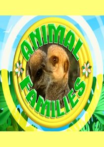 Animal Families Ne Zaman?'